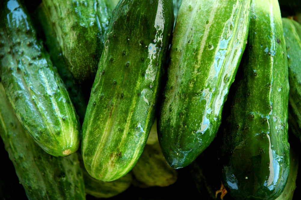 cucumbers
