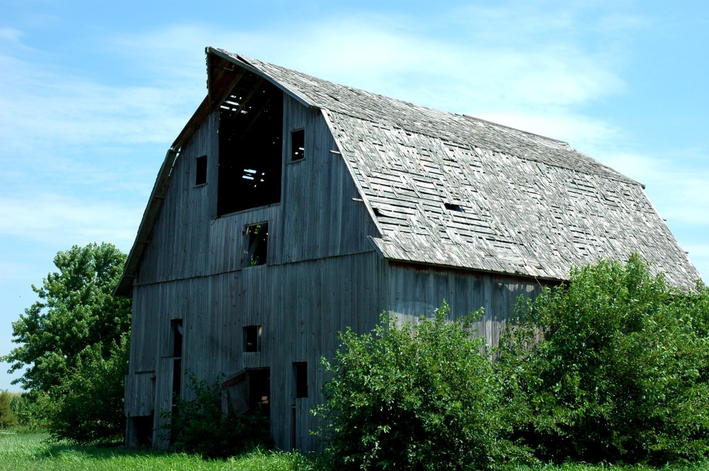 taro's barn
