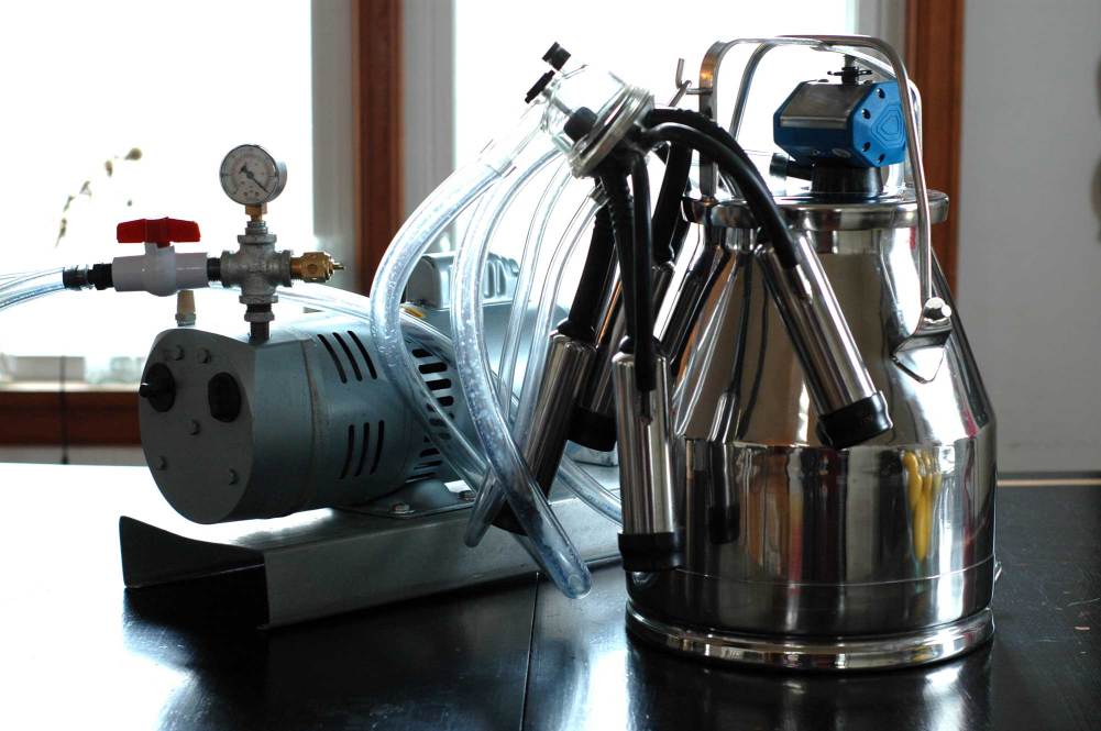 on-the-dining-room-table-1