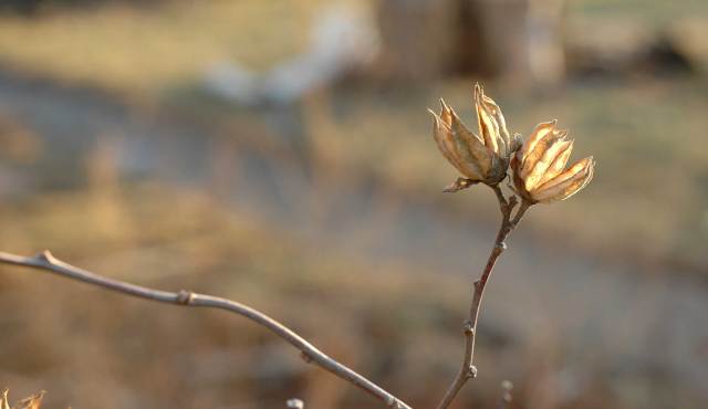 looking-for-something-2