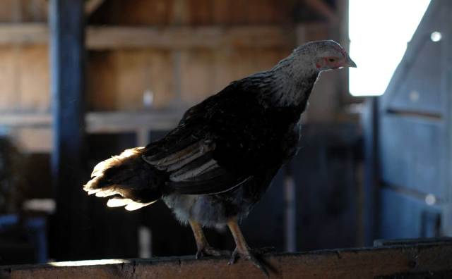 looking-for-something-3