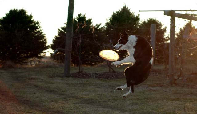 looking-for-something-4