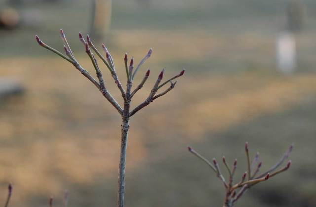 looking-for-something1