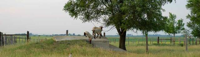 later-in-the-evening-008