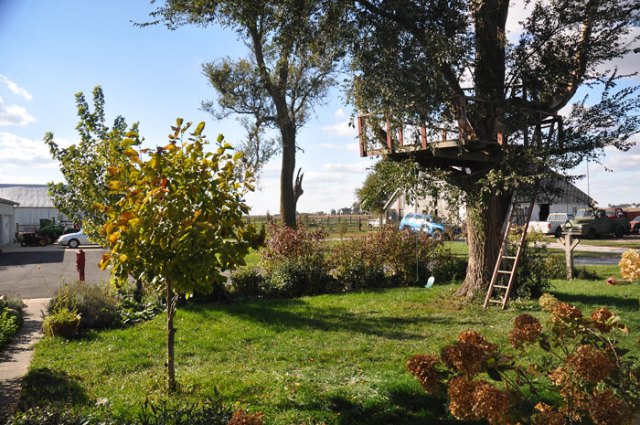 something-out-of-nothing-00