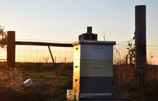 something-out-of-nothing-03