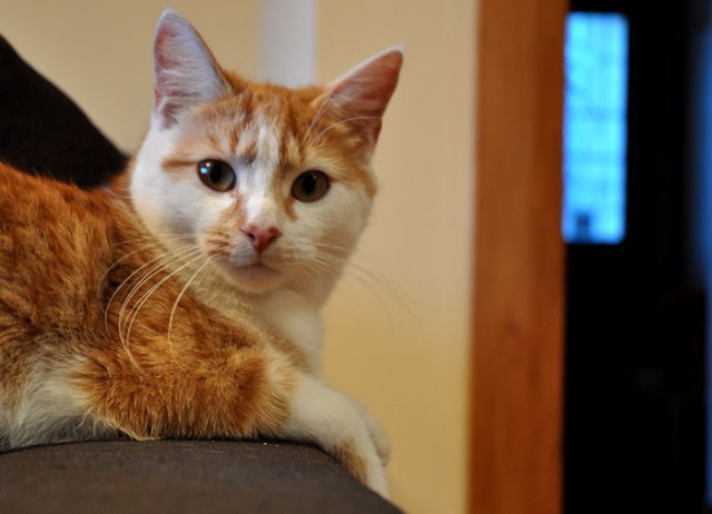 cold-day-in-welly-006