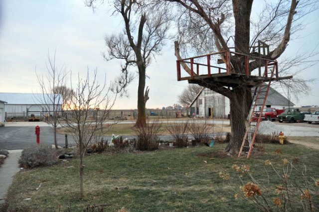 not-a-lot-to-see-today-007