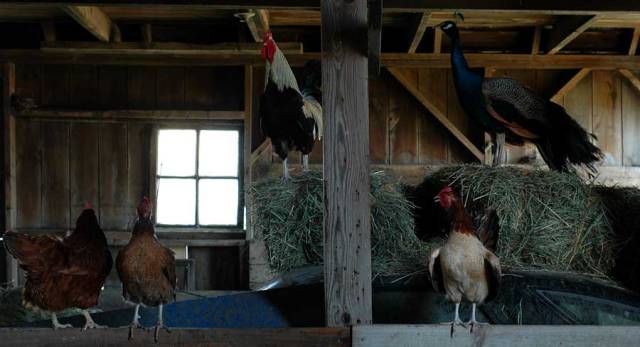 This shot is called 'Band Practice"'