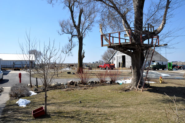 good-morning-daily-view