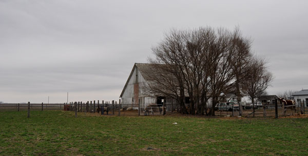 the-fellowshop-forest-005