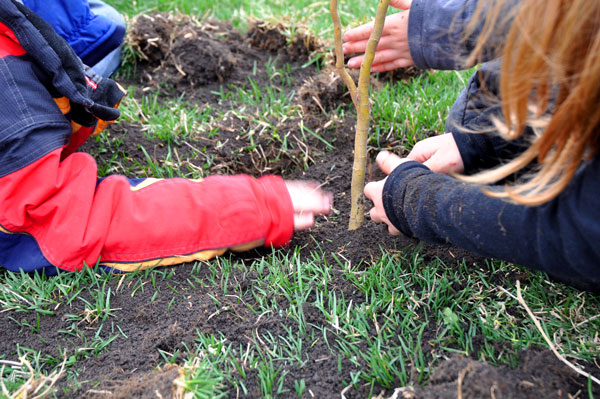 the-fellowshop-forest-012