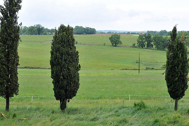 8785215174_d39347e5d5_z