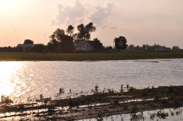 floods-in-fields-010