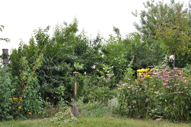 sunday-afternoon-018