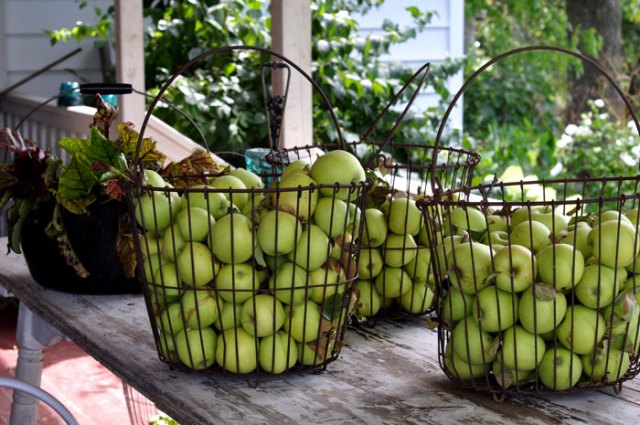 heatwave-smoothie-011