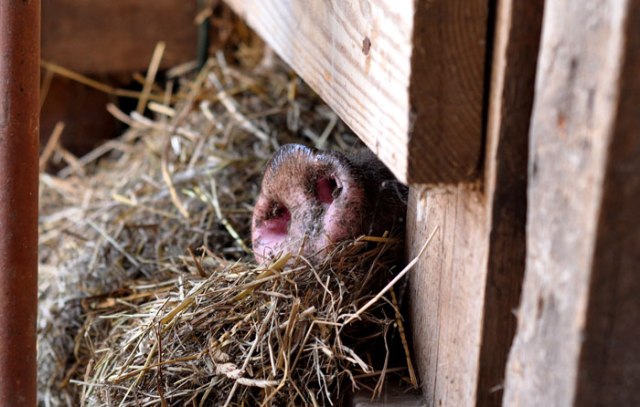 lazy-hazy-days-of-summer-00