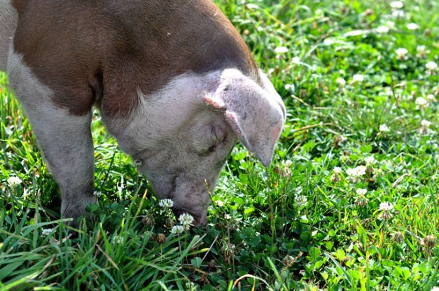 lazy-hazy-days-of-summer-01