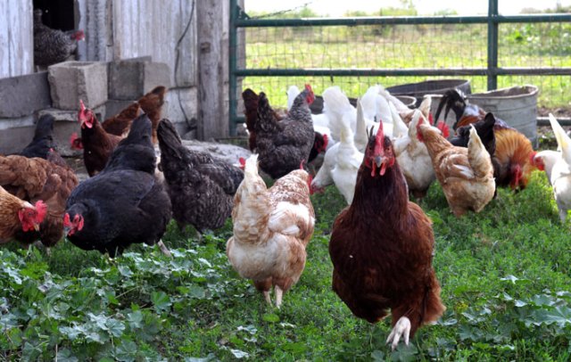 lazy-hazy-days-of-summer-04