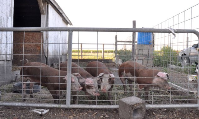 and-then-there-were-Four-00