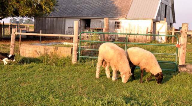 and-then-there-were-Four-01