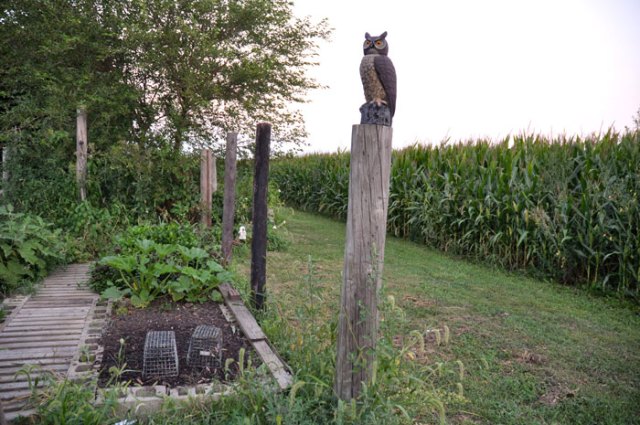 and-then-there-were-Four-03