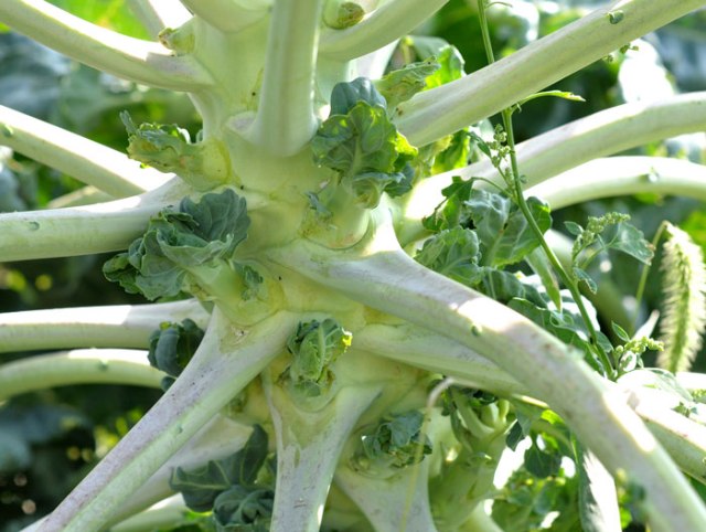 bracketing-exposures-075