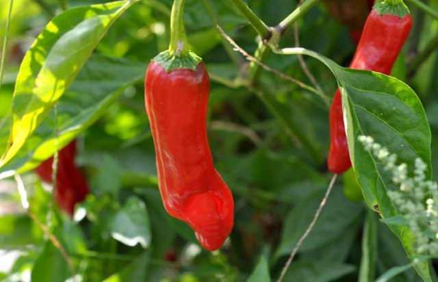 bracketing-exposures-077