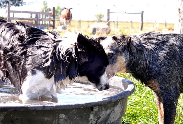 bread-and-cheese-039