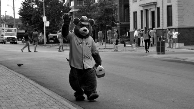 cubs-038