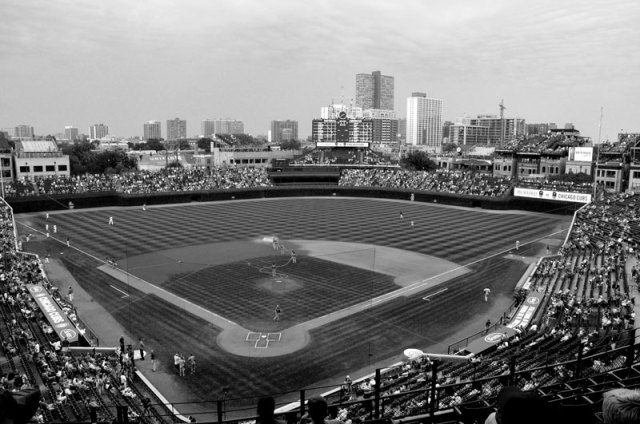 cubs-052