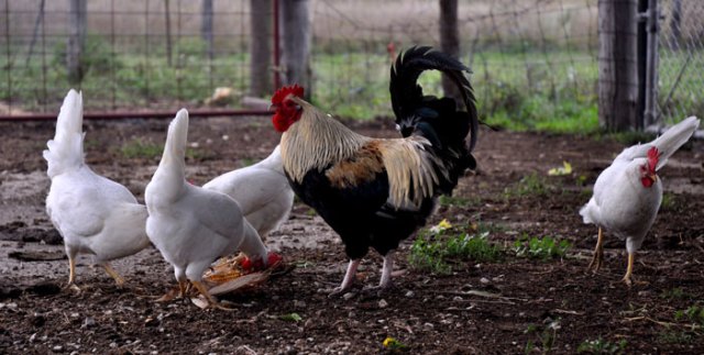 do-you-think-on-words-062