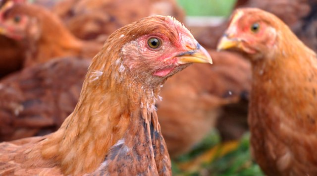 do-you-think-on-words-091