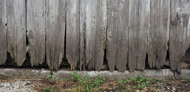 do-you-think-on-words-095