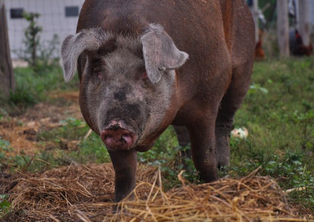 do-you-think-on-words-098