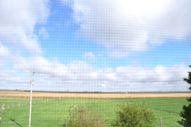 back-where-you-belong-009