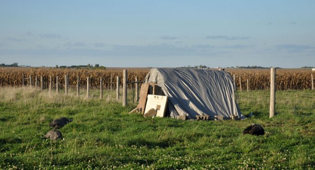 back-where-you-belong-067