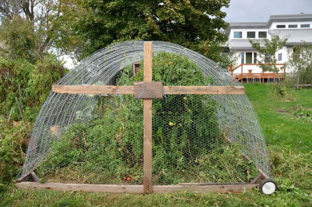 see-what-we-can-see-039