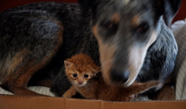 see-what-we-can-see-076