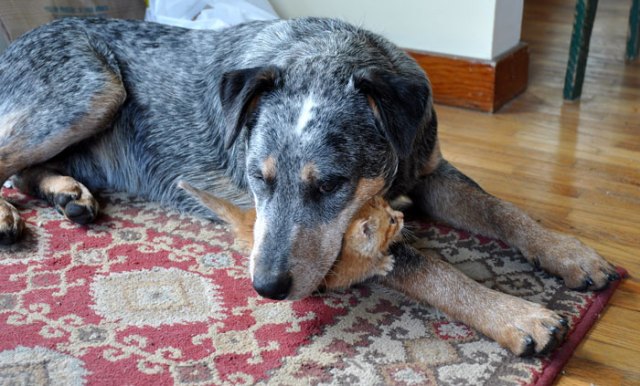 see-what-we-can-see-093