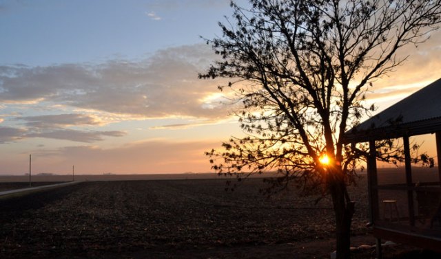 last-day-of-november-001