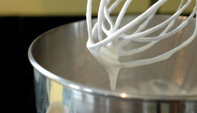 snow-and-spinges-097