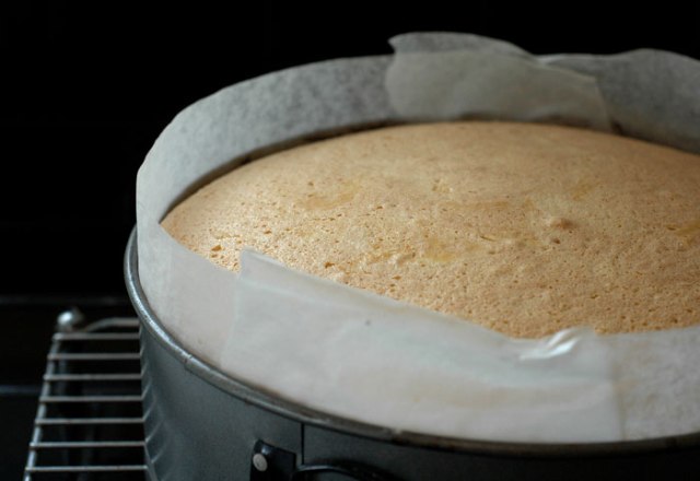 snow-and-spinges-110