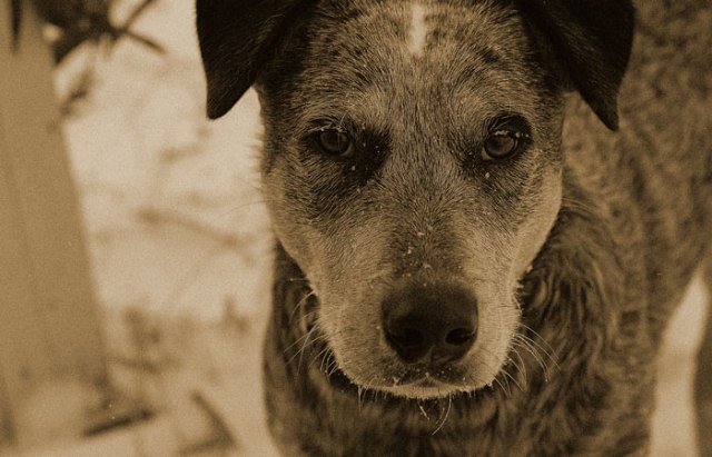 it-is-getting-cold-007