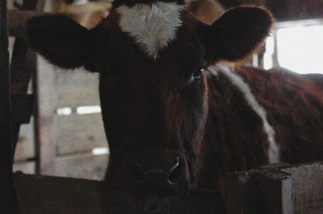 it-is-getting-cold-027