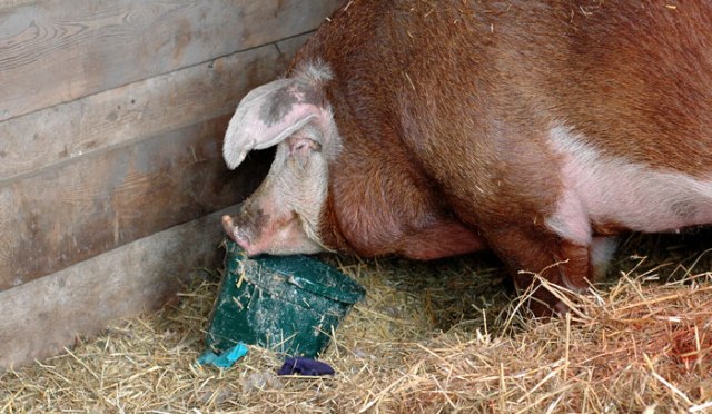 it-is-getting-cold-034