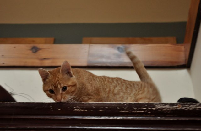 the-cold-is-back-011