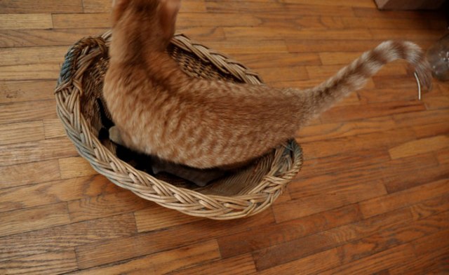 the-cold-is-back-029