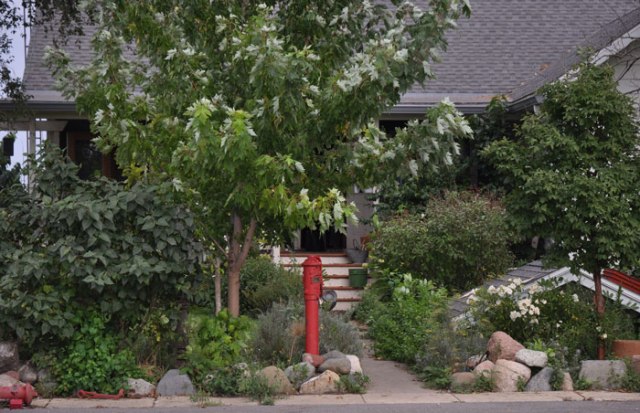 do-you-think-on-words-110