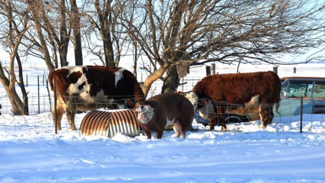 sunlight..-light-sun-013